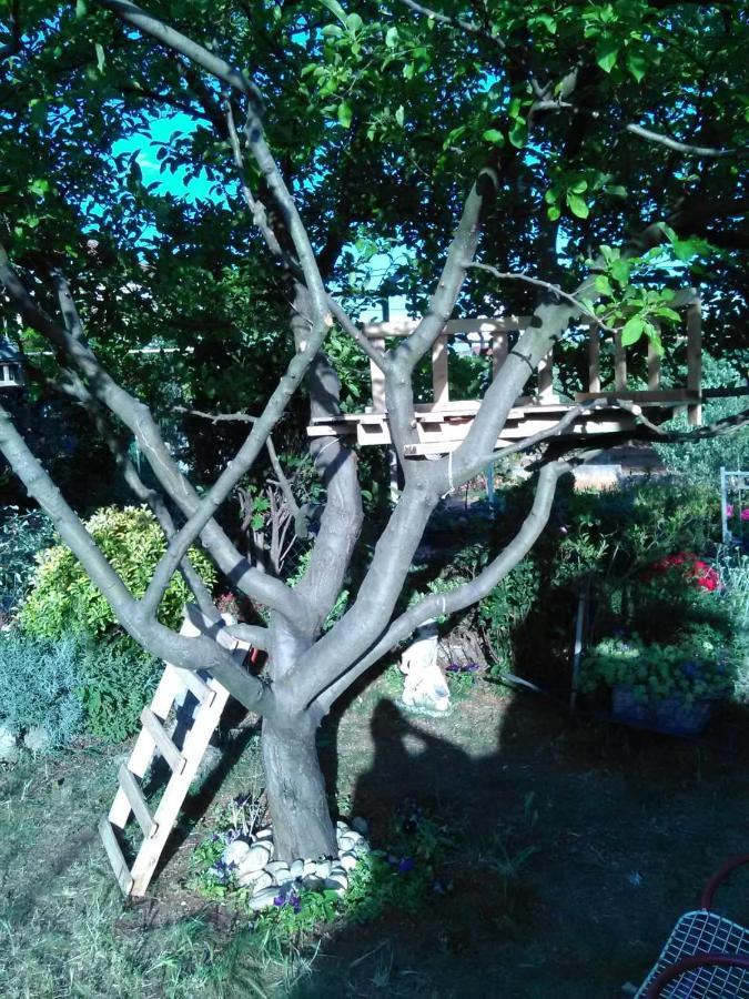 Apartmani Nado Majica Sveti Filip i Jakov Kültér fotó